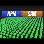 Why Do You Need SAM with NPM?