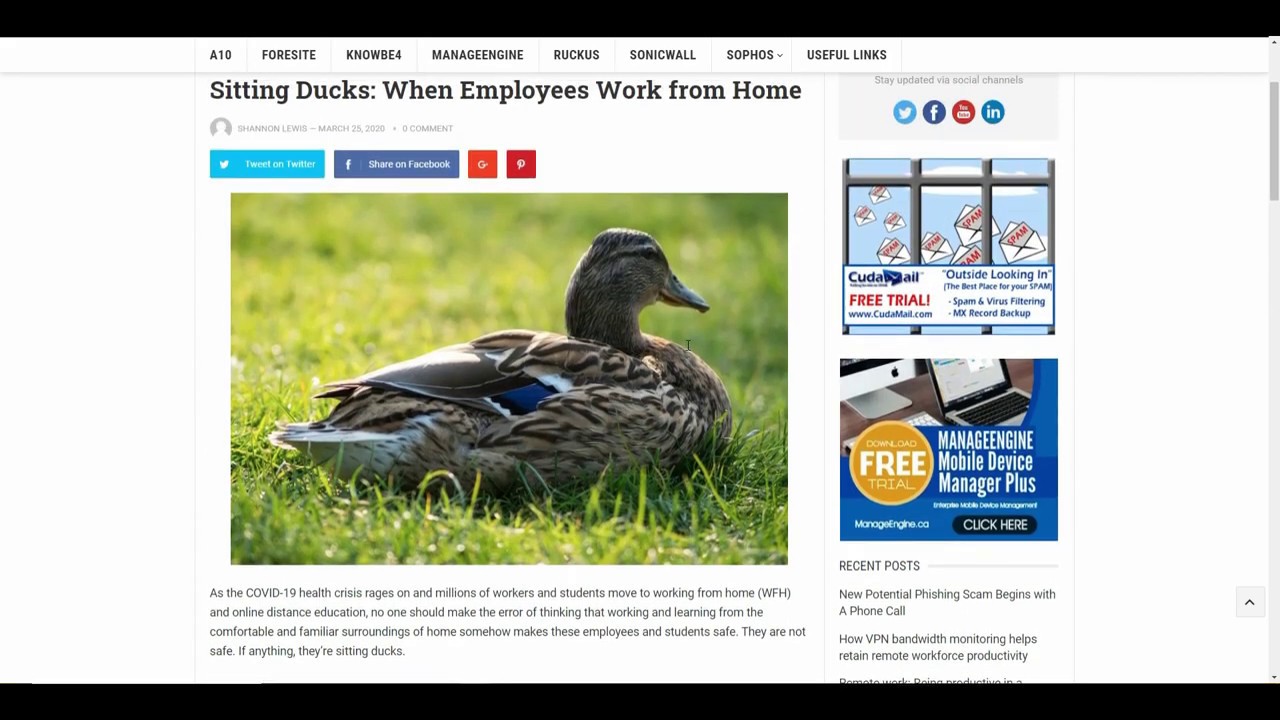 [Video Review] Sitting Ducks: When Employees Work from Home