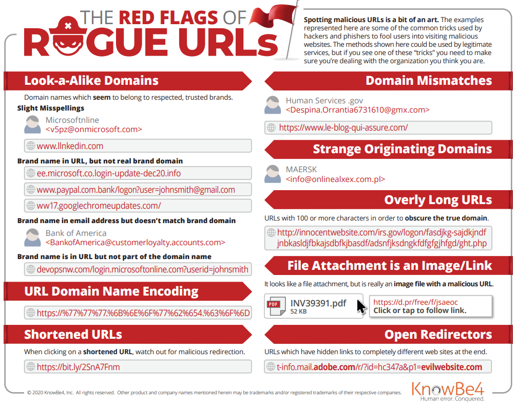 The Red Flags of Rogue URLS